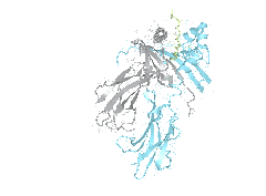 HLA–DPB1*04:01/DPA1*01:03